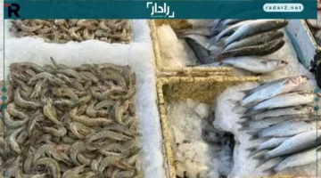 أسعار الأسماك في مطروح السبت 25-10-2025.. التونة تصل إلى 150 جنيهاً